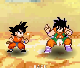 Dragon Ball Goku Fighting
